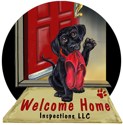 Welcome Home Inspections